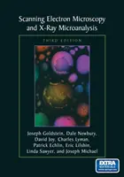 Microscopie electronică cu baleiaj și microanaliză cu raze X: Ediția a treia - Scanning Electron Microscopy and X-Ray Microanalysis: Third Edition