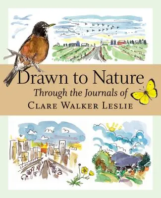 Atrași de natură: Prin jurnalele lui Clare Walker Leslie - Drawn to Nature: Through the Journals of Clare Walker Leslie