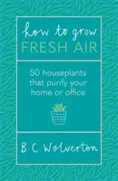 Cum să cultivi aer proaspăt - 50 de plante de interior pentru a-ți purifica casa sau biroul - How To Grow Fresh Air - 50 Houseplants To Purify Your Home Or Office