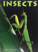 Insecte - Insects
