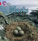 Cuiburi - Nests