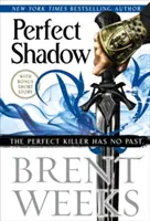 Umbra perfectă - O nuvelă înger de noapte - Perfect Shadow - A Night Angel Novella