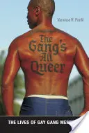 The Gang's All Queer: The Lives of Gay Gang Members