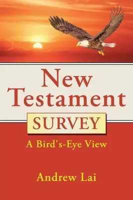 Studiul Noului Testament: O privire din ochi de pasăre - New Testament Survey: A Bird's-Eye View