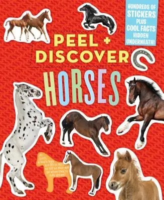 Peel + Discover: Cai - Peel + Discover: Horses