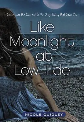 Like Moonlight at Low Tide Softcover