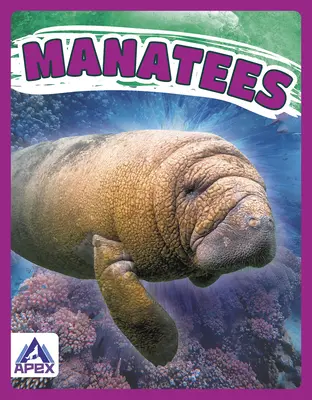 Manatee - Manatees