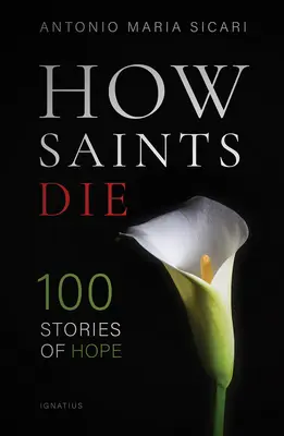 Cum mor sfinții: 100 de povești ale speranței - How Saints Die: 100 Stories of Hope
