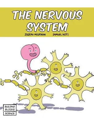 Sistemul nervos - The Nervous System