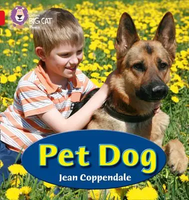 Câine de companie - Pet Dog