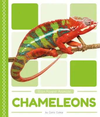 Cameleoni - Chameleons