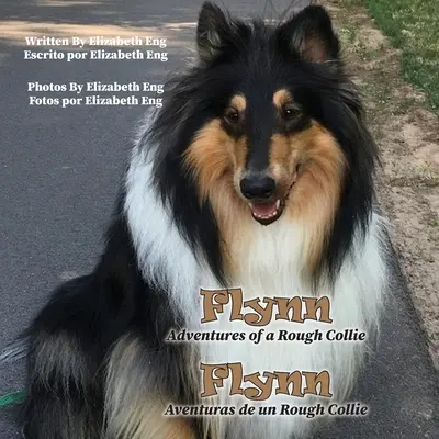 Flynn: Aventurile unui Rough Collie - Flynn: Adventures of a Rough Collie