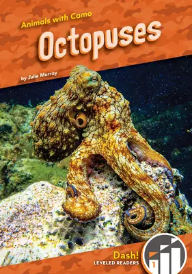Octopus - Octopuses