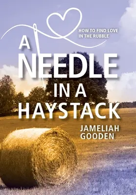 A Needle in a Haystack: Cum să găsești dragostea în moloz - A Needle in a Haystack: How to Find Love in the Rubble