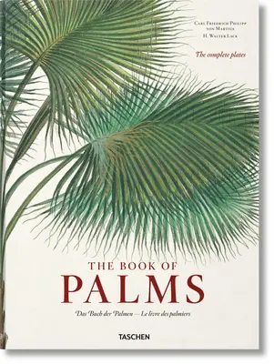 Martius. Cartea palmelor - Martius. the Book of Palms
