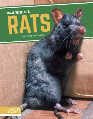 Șobolani - Rats