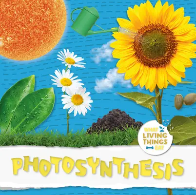 Fotosinteza - Photosynthesis