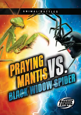 Mantis rugătoare vs. Păianjenul văduvă neagră - Praying Mantis vs. Black Widow Spider