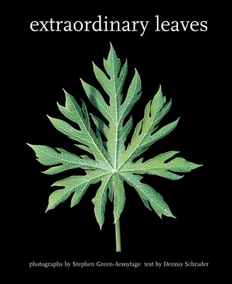 Frunze extraordinare - Extraordinary Leaves