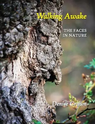 Walking Awake: Chipurile din natură: The Faces in Nature - Walking Awake: The Faces in Nature
