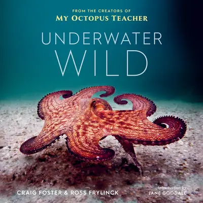 Underwater Wild: Lumea extraordinară a profesorului meu caracatiță - Underwater Wild: My Octopus Teacher's Extraordinary World