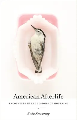 American Afterlife: Întâlniri în obiceiurile de doliu - American Afterlife: Encounters in the Customs of Mourning