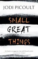 Small Great Things - Cel mai bine vândut roman pe care nu vrei să-l ratezi - Small Great Things - The bestselling novel you won't want to miss