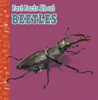 Fapte rapide despre gândaci - Fast Facts About Beetles