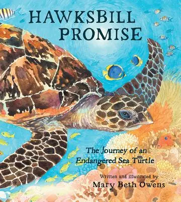 Hawksbill Promise: Călătoria unei țestoase de mare pe cale de dispariție - Hawksbill Promise: The Journey of an Endangered Sea Turtle