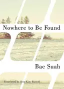 Nicăieri de găsit - Nowhere to Be Found