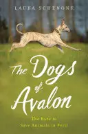 Câinii din Avalon: Cursa pentru salvarea animalelor în pericol - The Dogs of Avalon: The Race to Save Animals in Peril