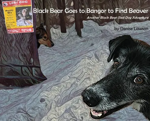 Ursul negru merge la Bangor pentru a găsi castorul - Black Bear Goes to Bangor to Find Beaver