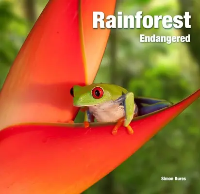 Pădurea tropicală: Pe cale de dispariție - Rainforest: Endangered