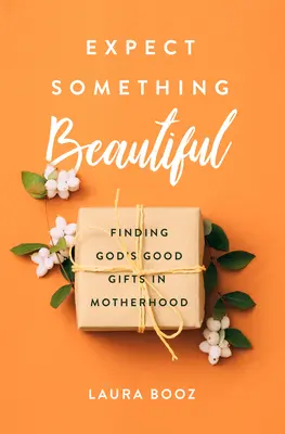 Așteaptă-te la ceva frumos: Găsirea darurilor bune ale lui Dumnezeu în maternitate - Expect Something Beautiful: Finding God's Good Gifts in Motherhood
