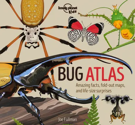 Atlasul insectelor 1 - Bug Atlas 1