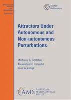 Atractori sub perturbații autonome și non-autonome - Attractors Under Autonomous and Non-autonomous Perturbations