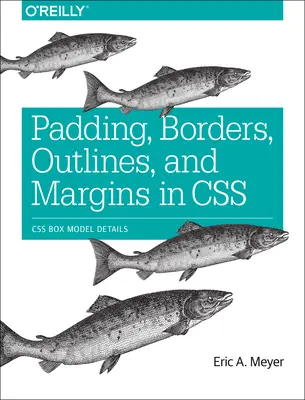 Padding, Borders, Outlines și Margins în CSS: Detalii despre modelul de cutie CSS - Padding, Borders, Outlines, and Margins in CSS: CSS Box Model Details