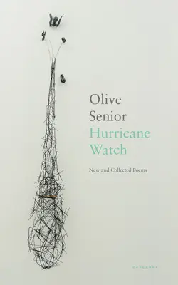 Hurricane Watch - Poezii noi și colecționate - Hurricane Watch - New and Collected Poems