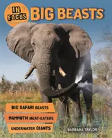 În centrul atenției: Bestii mari - In Focus: Big Beasts