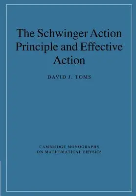 Principiul acțiunii Schwinger și acțiunea eficientă - The Schwinger Action Principle and Effective Action
