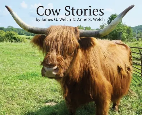 Povești cu vaci - Cow Stories