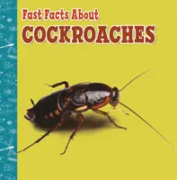 Informații rapide despre gândaci - Fast Facts About Cockroaches