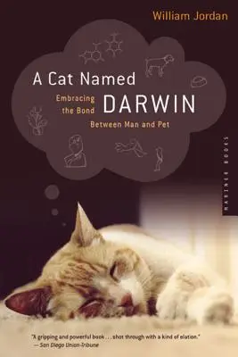 O pisică pe nume Darwin: Îmbrățișarea legăturii dintre om și animalul de companie - A Cat Named Darwin: Embracing the Bond Between Man and Pet