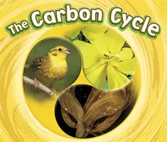 Ciclul carbonului - Carbon Cycle