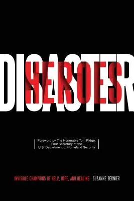 Eroi ai dezastrelor - Disaster Heroes