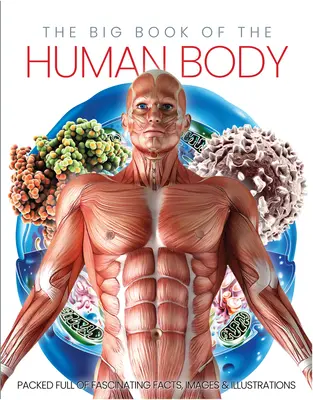 The Big Book of the Human Body (Marea carte a corpului uman) - The Big Book of the Human Body