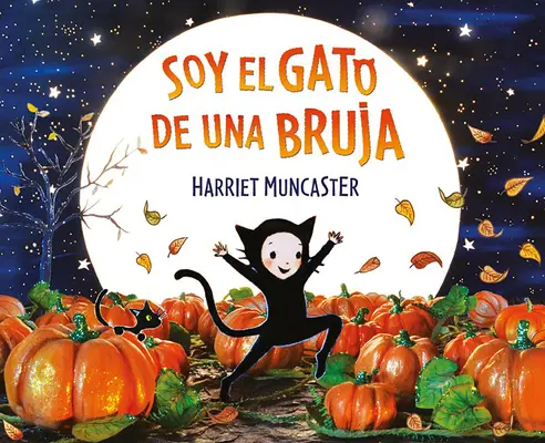 Soy El Gato de Una Bruja / Sunt pisica unei vrăjitoare - Soy El Gato de Una Bruja / I Am a Witch's Cat