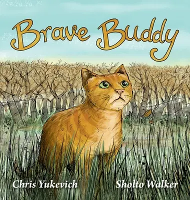 Amicul curajos - Brave Buddy