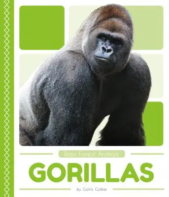 Gorile - Gorillas