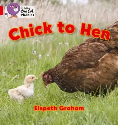De la pui la găină - Chick to Hen